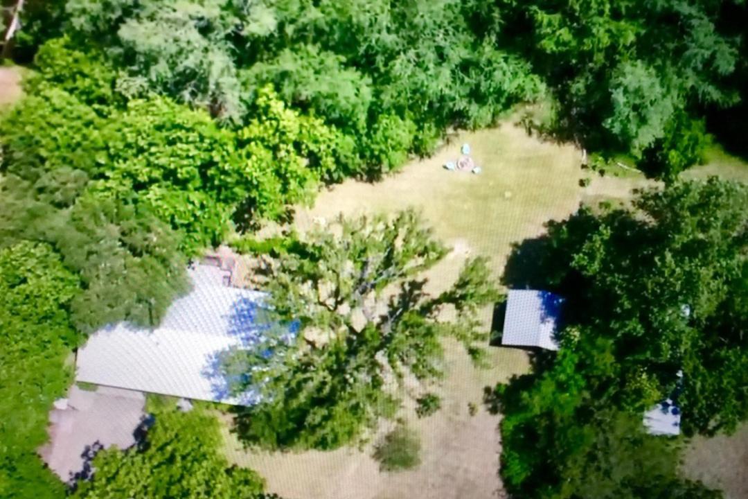 Photo of Others in Leakey