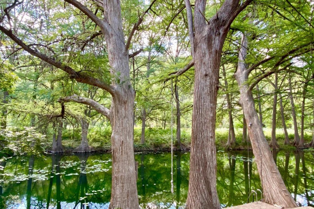 Photo of Others in Leakey