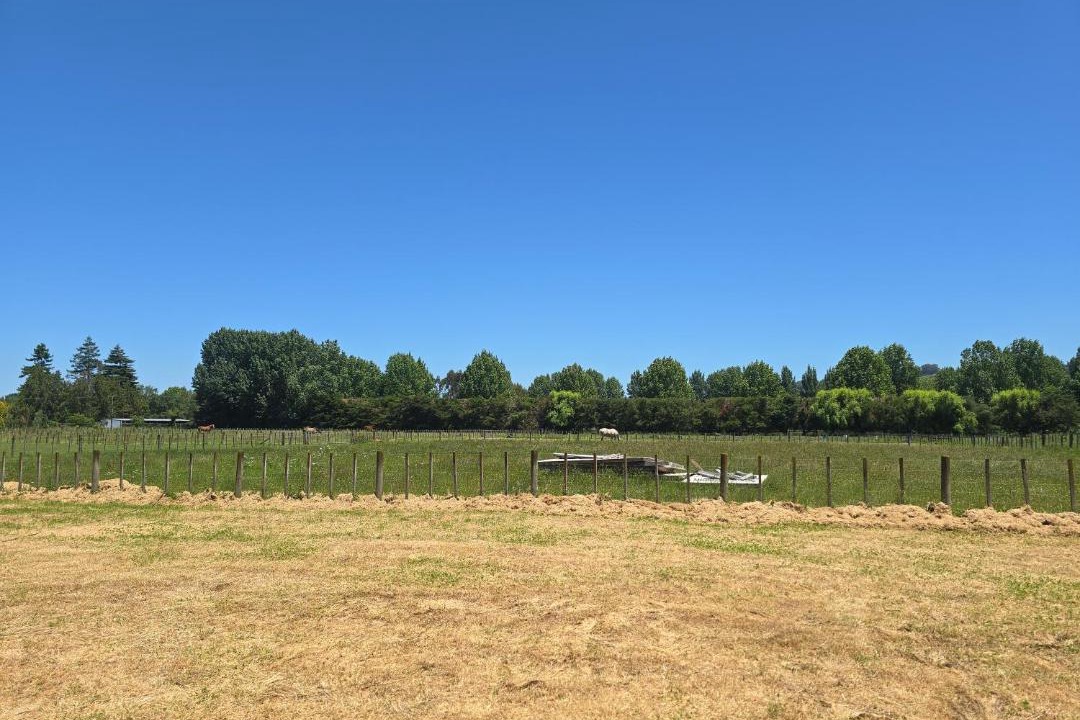 Photo of Others in Whanganui