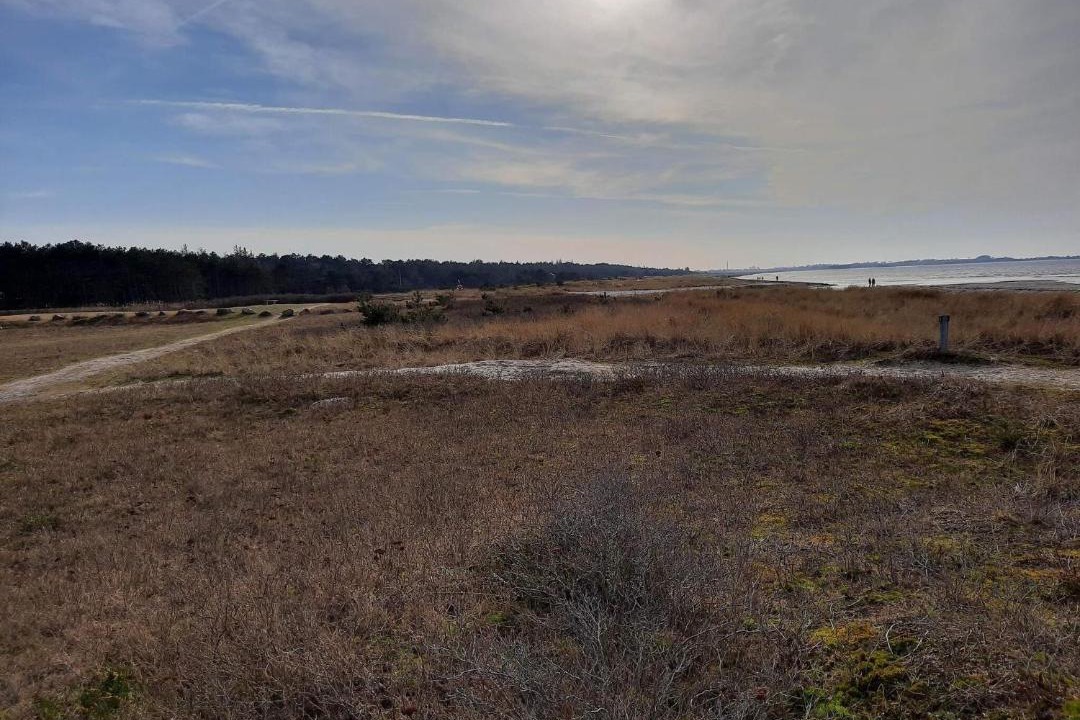 Photo of Others in Store Fuglede