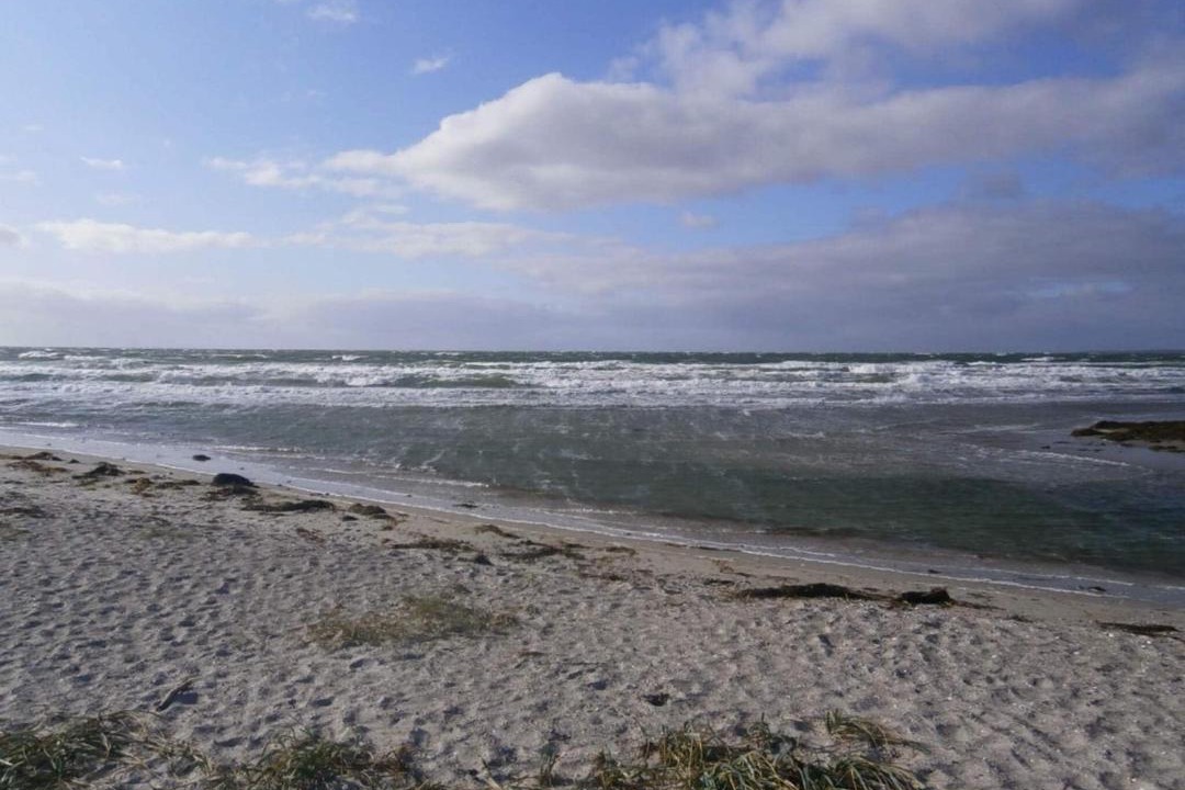 Photo of Others in Store Fuglede