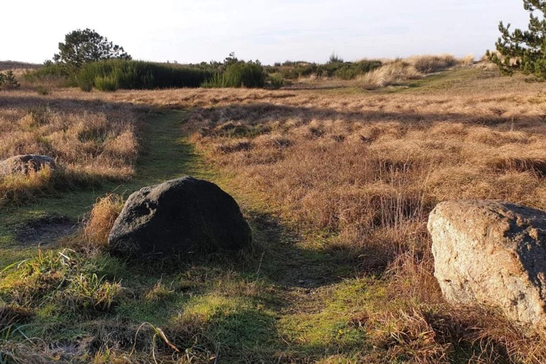 Photo of Others in Store Fuglede