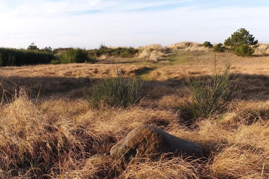 Photo of Others in Store Fuglede