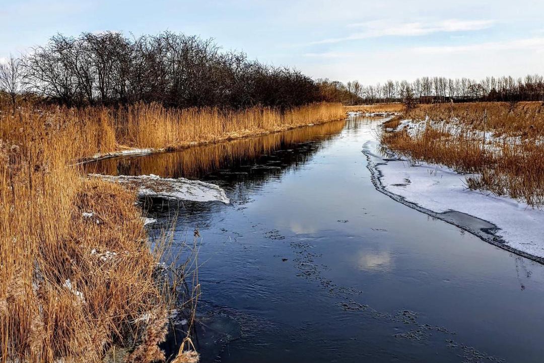 Photo of Others in Store Fuglede