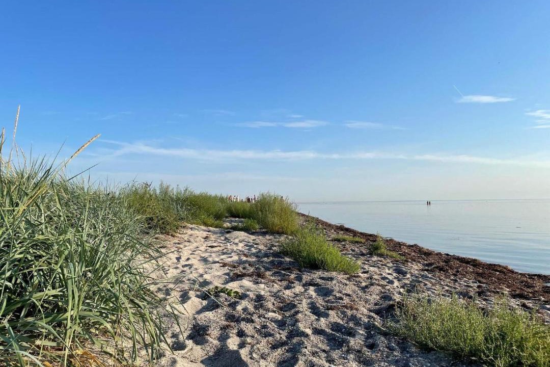 Photo of Others in Dragor