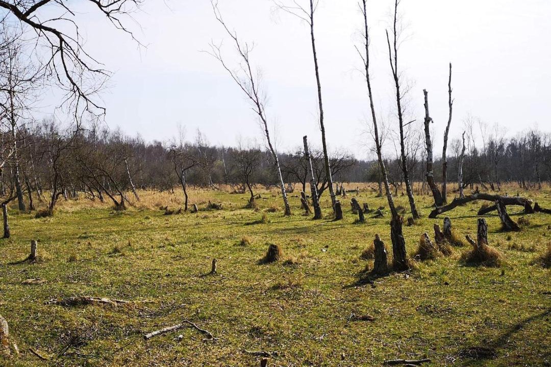 Photo of Others in Dragor