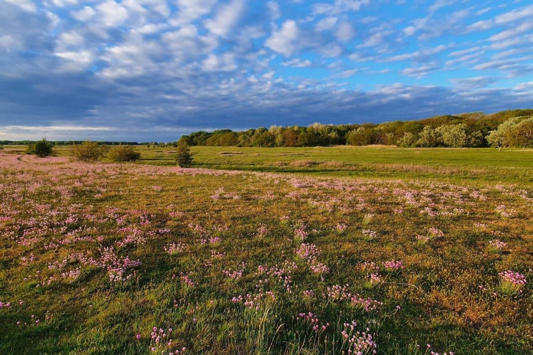 Photo of Others in Dragor