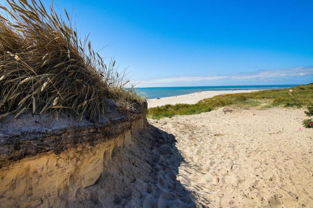 Photo of Others in Blavand Strand
