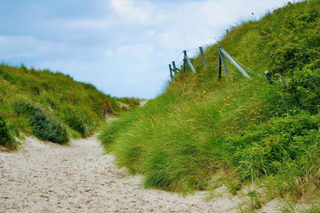 Photo of Others in Blavand Strand