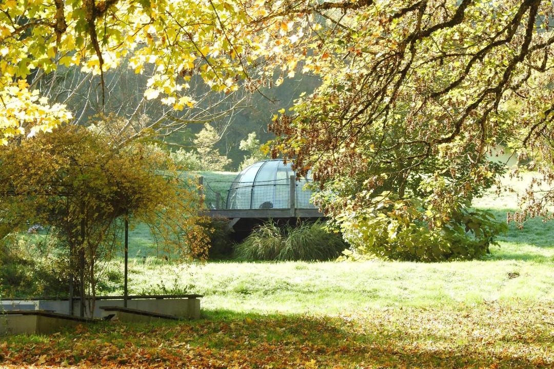 Photo of Others in Merlas