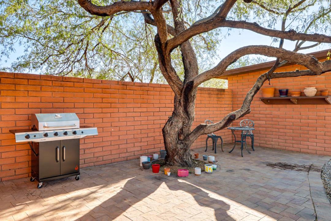 Photo of Others in Tanque Verde