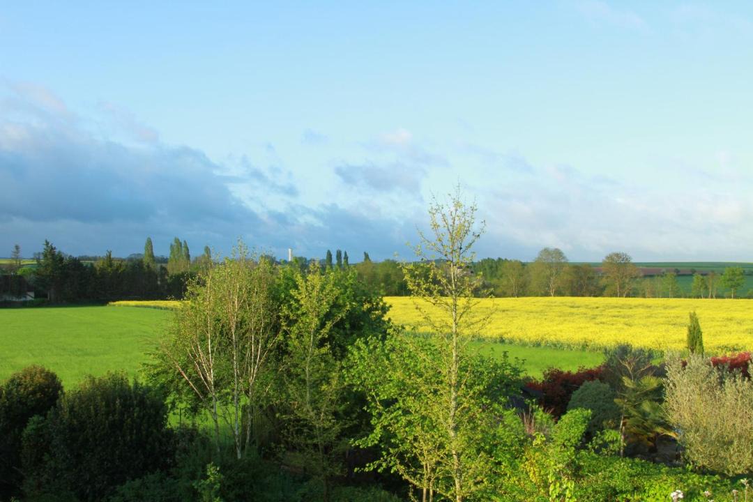 Photo of Others in Vieux