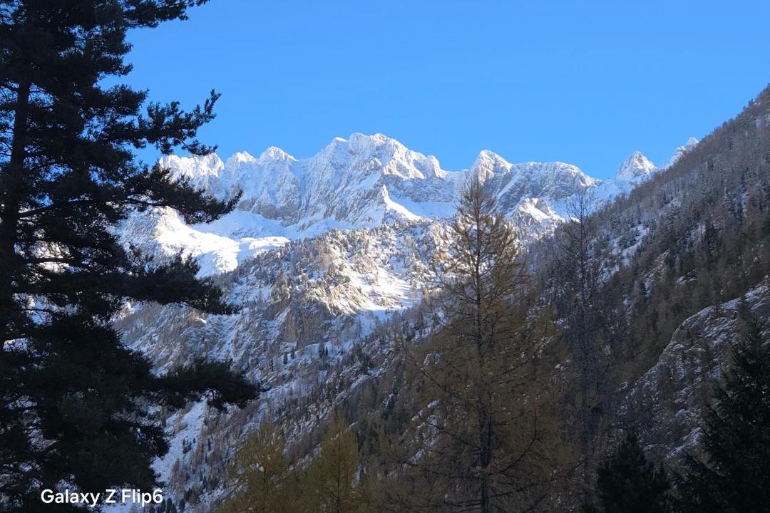 Photo of Others in Belvedere