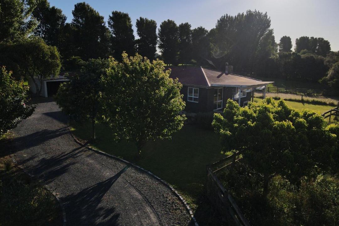 Photo of Others in Te Poi