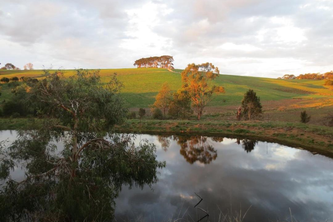 Photo of Others in Koorooman