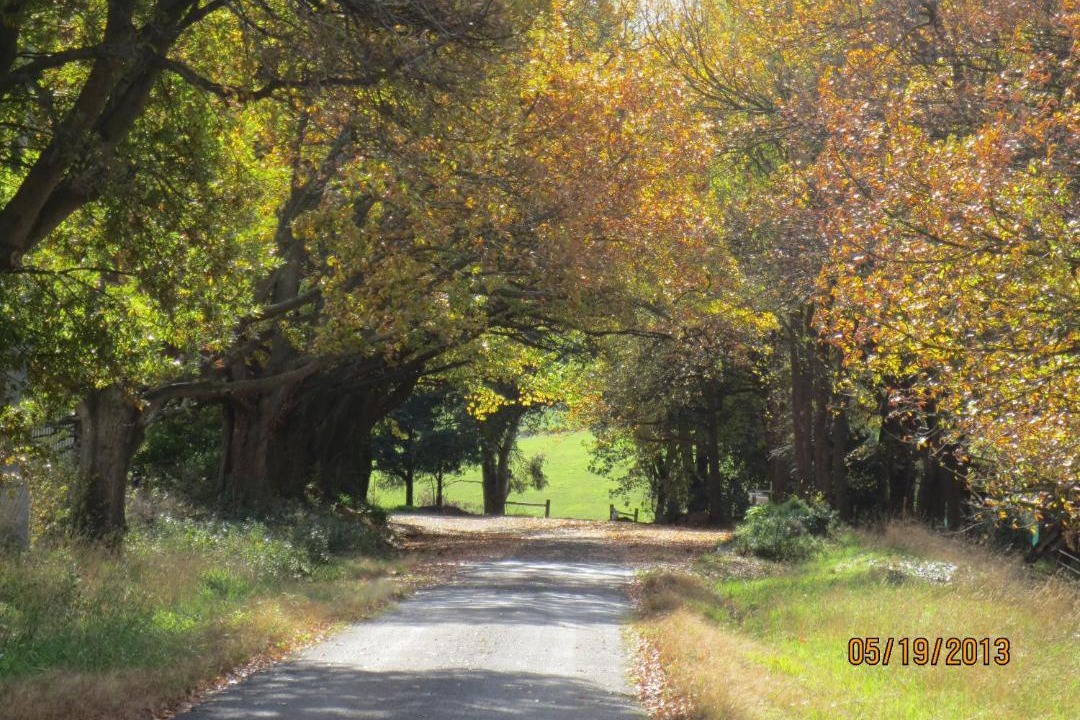 Photo of Others in Koorooman