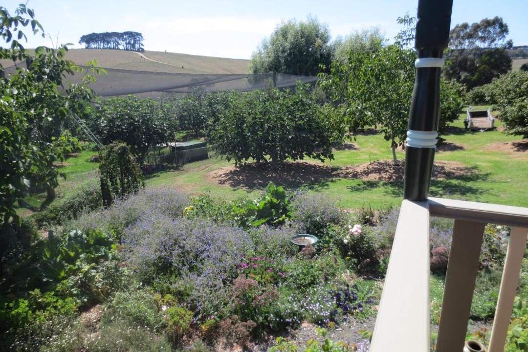 Photo of Others in Koorooman