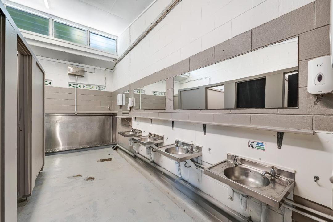 Photo of Others in Paihia