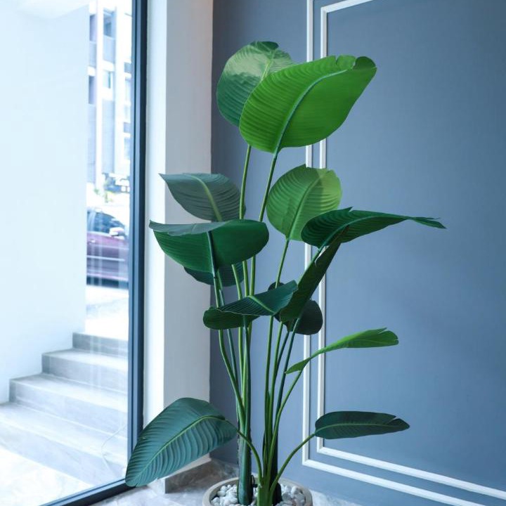 Photo of Others in Brinchang