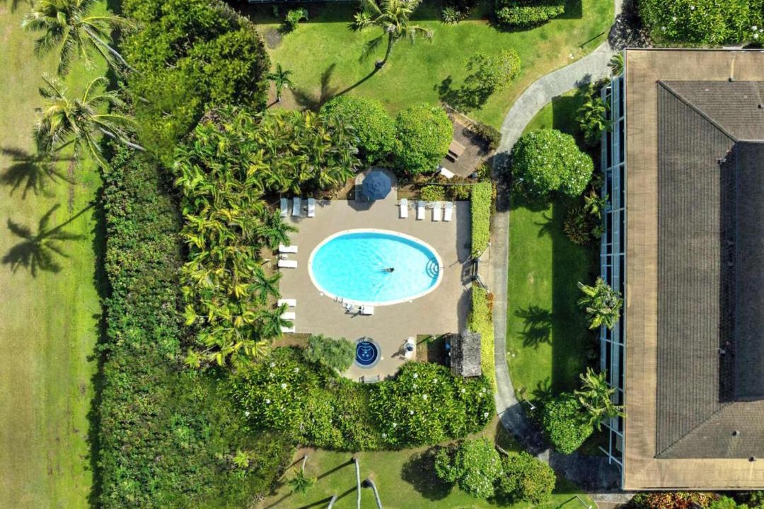 Photo of Others in Wailua