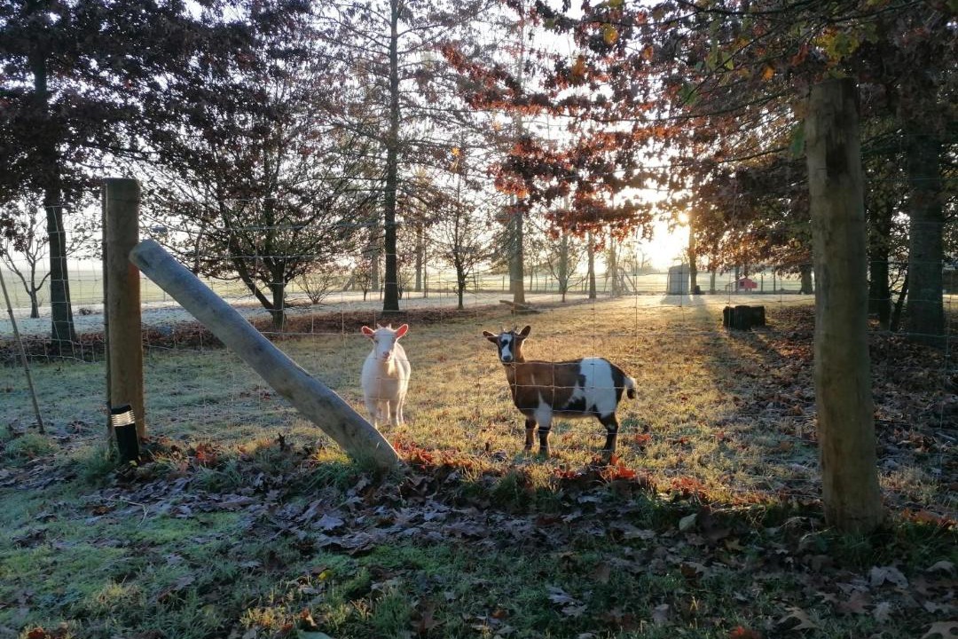 Photo of Others in Saint-Andre-Goule-d'Oie