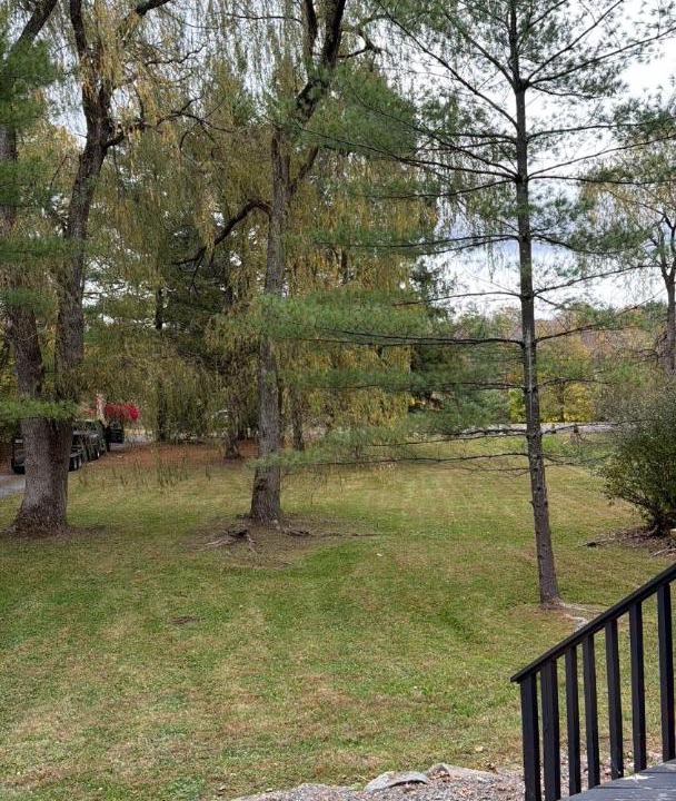 Photo of Others in Catskill