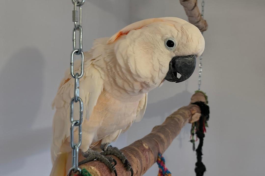 Photo of Others in La Fleche