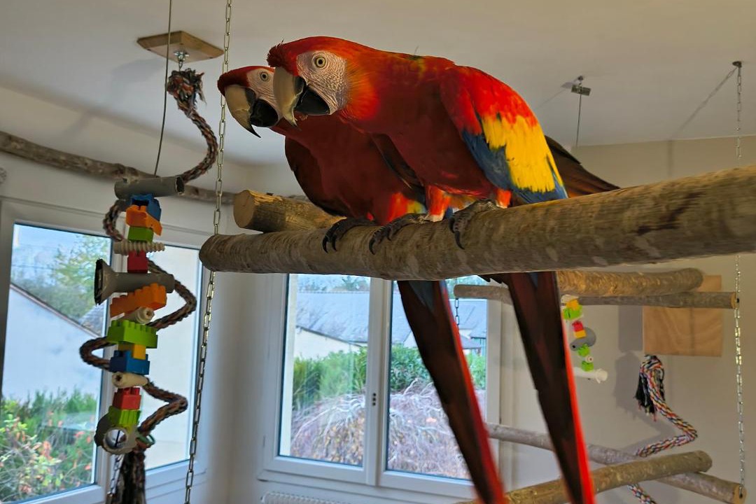 Photo of Others in La Fleche