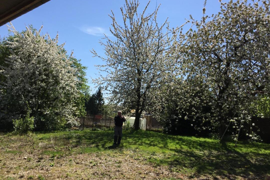 Photo of Outdoor in Saint-Sauflieu