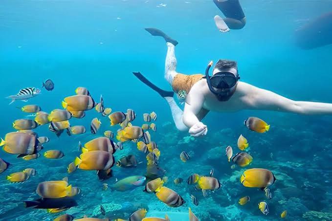 Photo of Human In Picture in Mushroom Bay