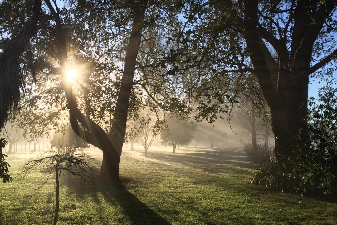 Photo of Others in Tuai