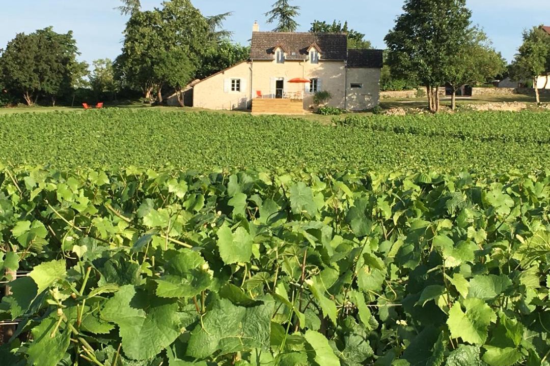 Photo of Others in Mercurey