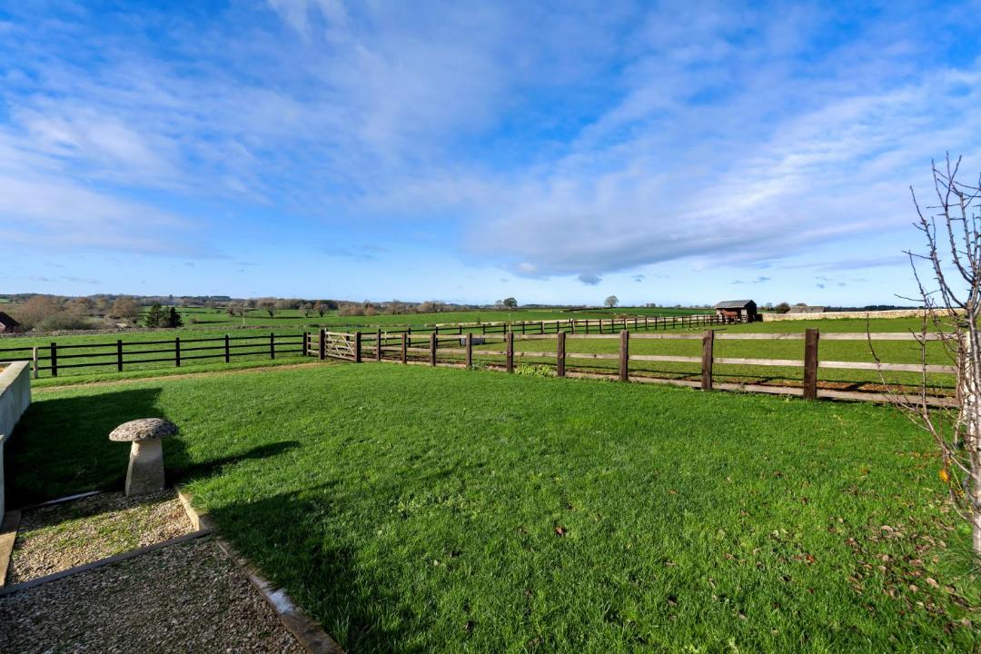 Photo of Others in Nettleton