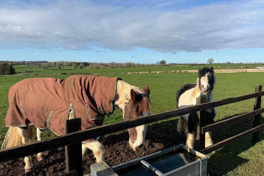 Photo of Others in Nettleton