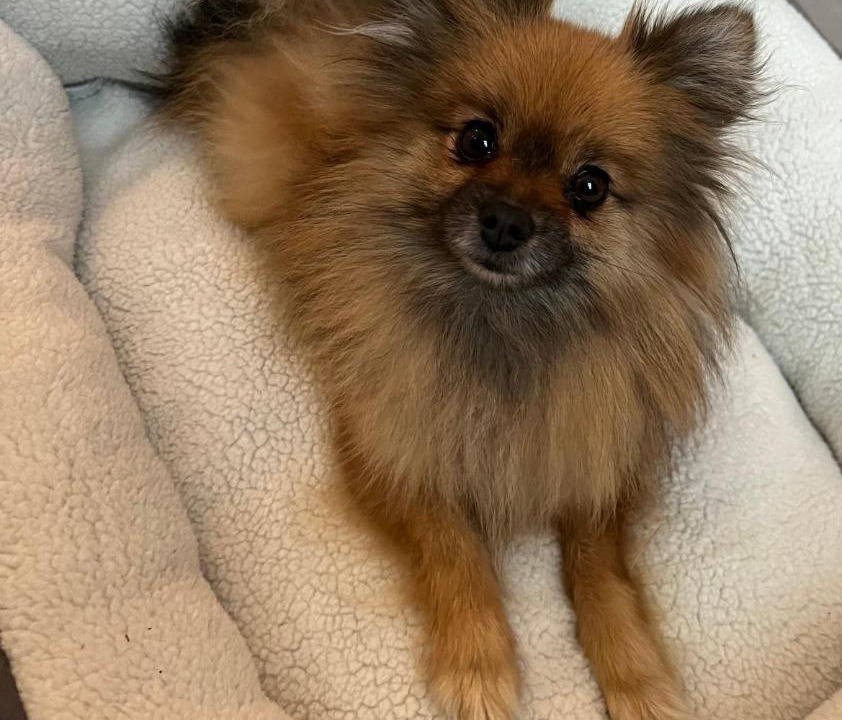 Photo of Others in Saint-Hilaire-des-Loges