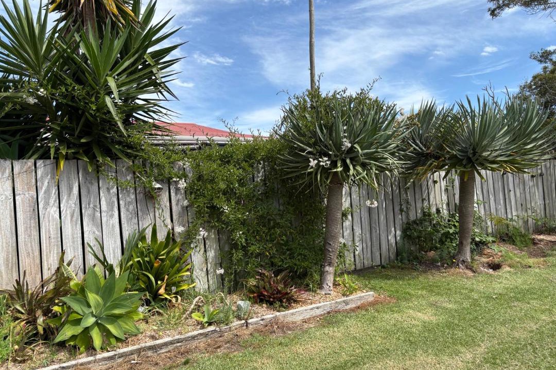 Photo of Others in Awanui