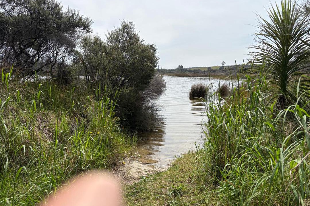 Photo of Others in Awanui