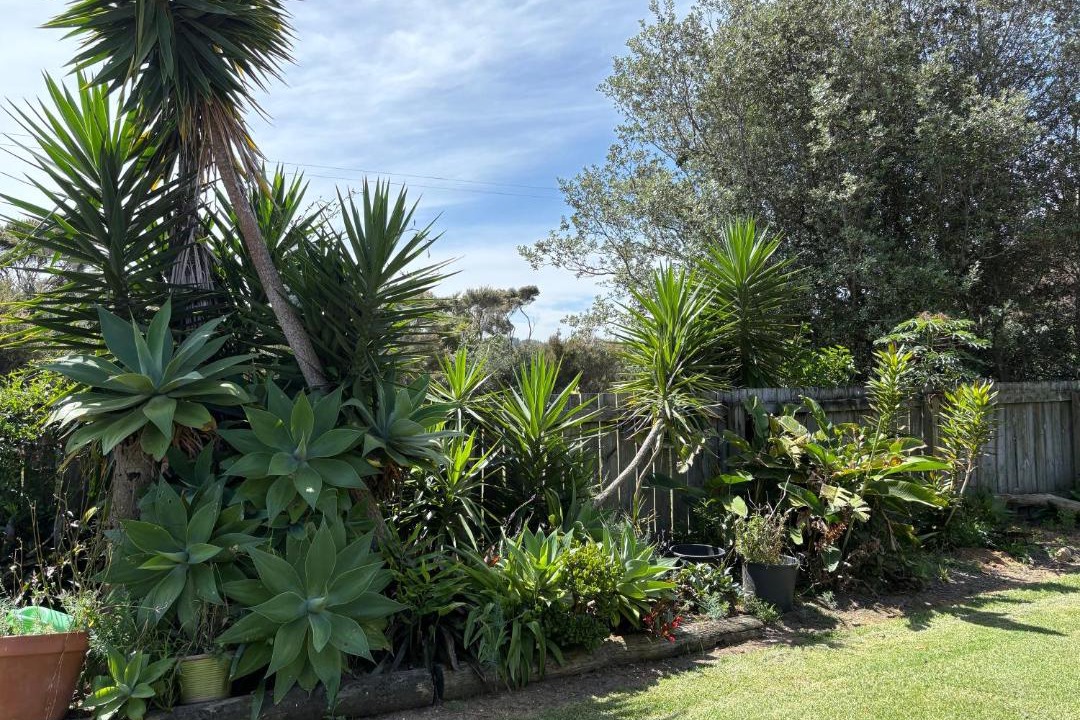 Photo of Others in Awanui