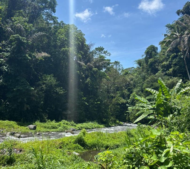 Photo of Others in Tembuku