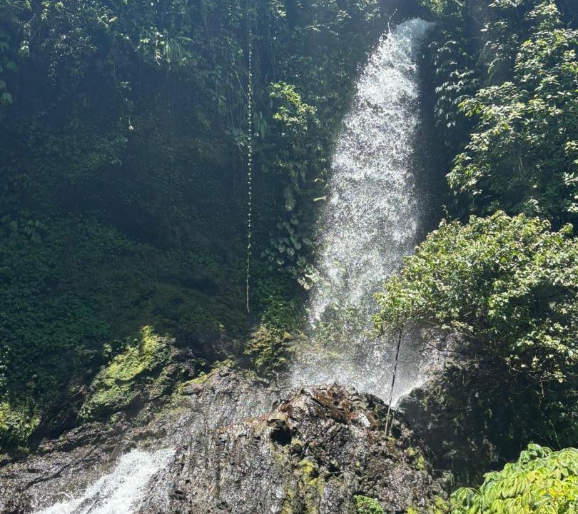 Photo of Others in Tembuku