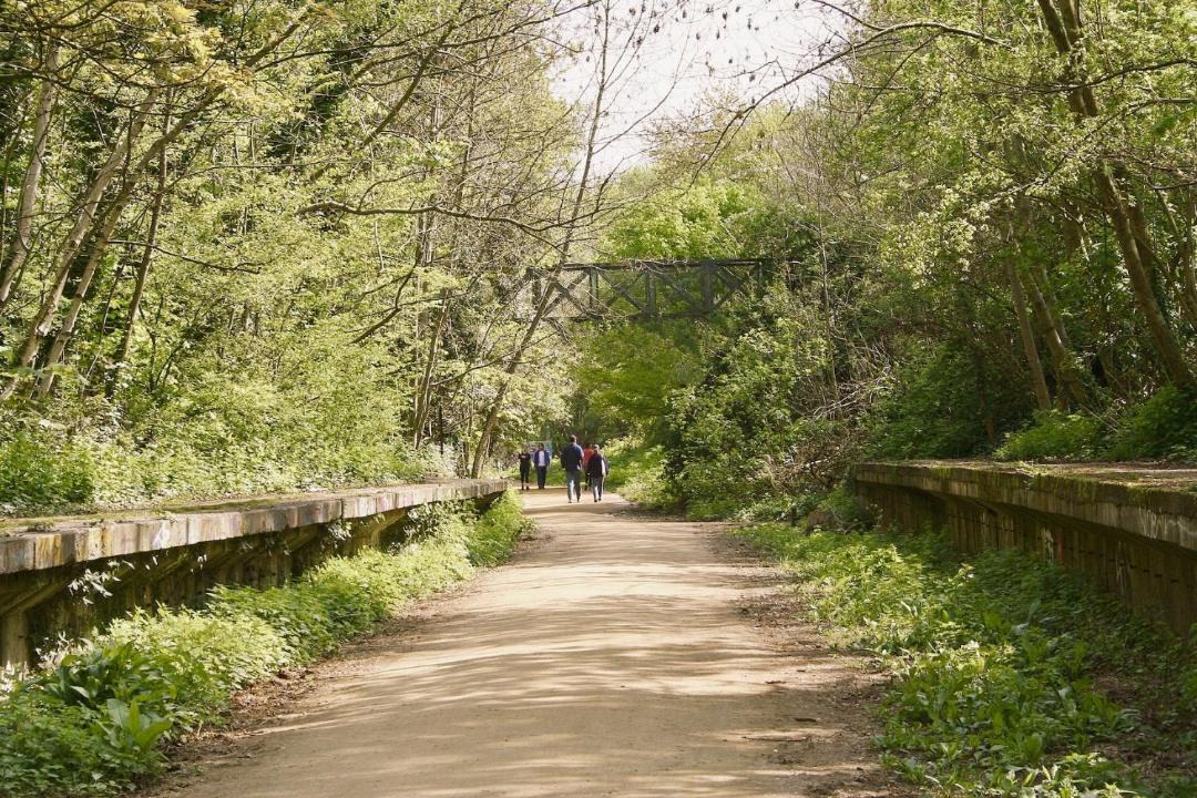 Photo of Others in Stroud Green