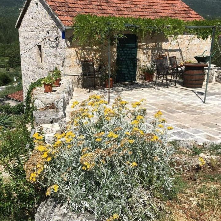 Photo of Others in Konavle