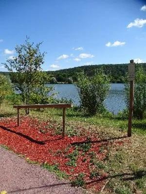 Photo of Others in La Celle-sous-Gouzon