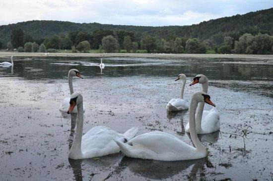 Photo of Others in La Celle-sous-Gouzon
