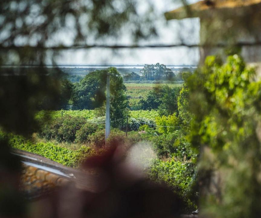Photo of Others in Saint-Nazaire