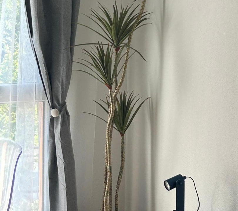 Photo of Others in Quincy-sous-Senart