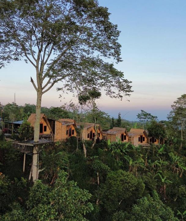 Photo of Others in Wanagiri