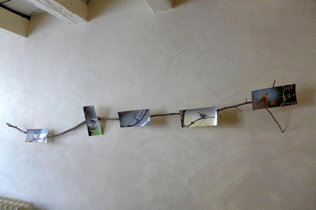 Photo of Others in Giey-sur-Aujon