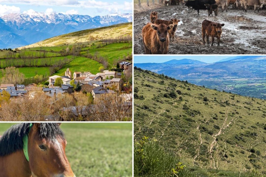 Photo of Others in Guils de Cerdanya