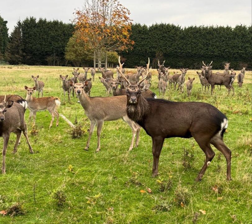 Photo of Others in Lichfield